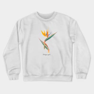 Colorful Bird of Paradise Crewneck Sweatshirt